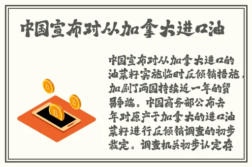 纳西妲坐旅行者的胡萝卜
